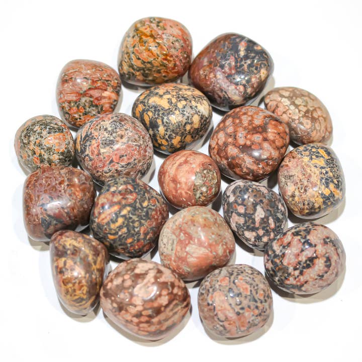 Jasper en peau de léopard, roulé, 30-45 mm, 1 kg pour la vente par Quasar Gems USA