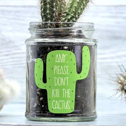 BEEcycle - Vente Graines de plantes - Kit de culture en pot de cactus Don't Kill Me'1