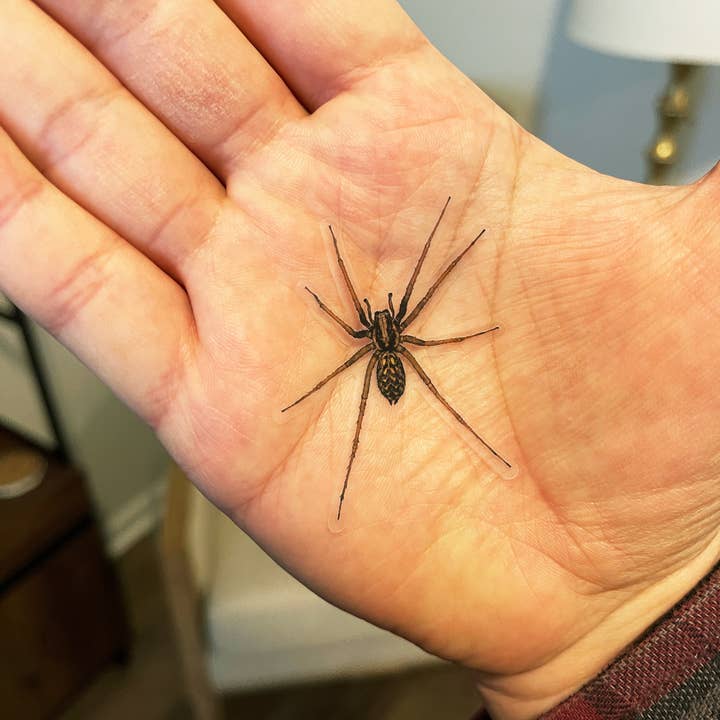 Ryan McCulloch Art - Wholesale Sticker - PRANK CLEAR STICKER: Spider (April Fools Practical Joke)2