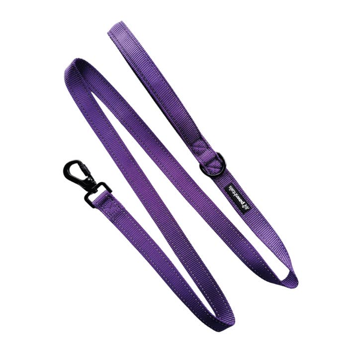 Purple Dog Functional Lead 5ft for wholesale by Pawshtails