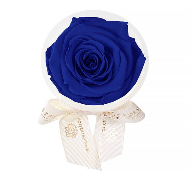 Eternal Roses® - Wholesale Party Favor - Eternal Rose Party Favors15