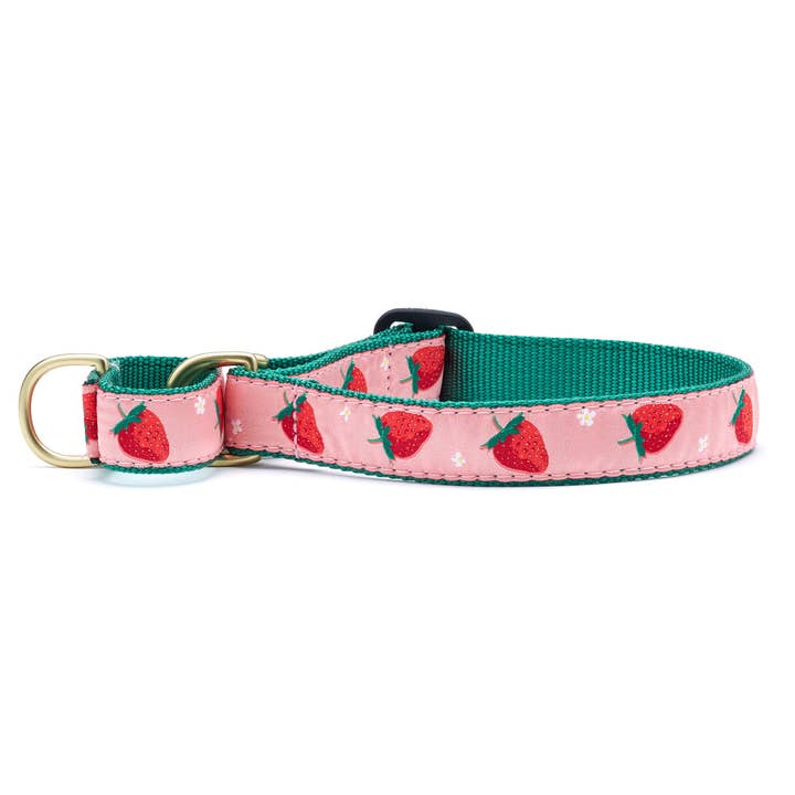 Strawberry Fields Martingale hondenhalsband voor wholesale door Up Country, Inc.