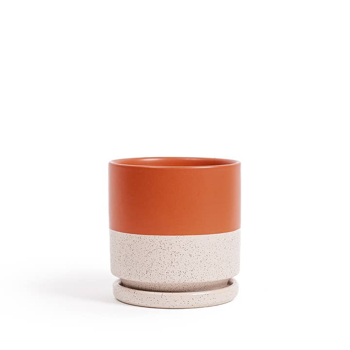 Momma Pots - Wholesale Plant Pot - Limited Release - 10.5" Cylinder Pots with Water Saucers