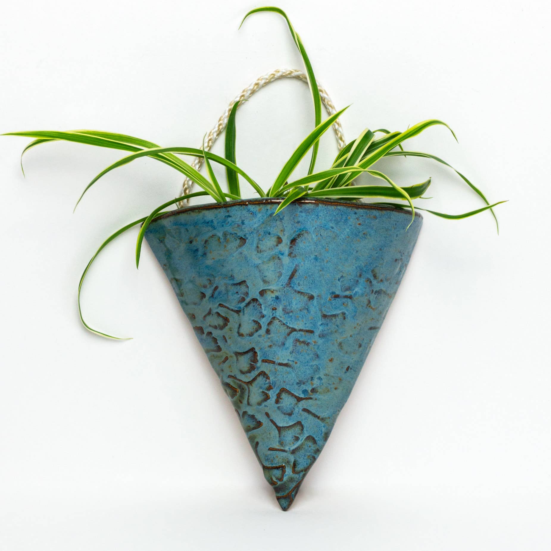 White Squirrel Clayworks - Wholesale Wall Planter - Ginkgo Pattern Handmade, in Ohio, Ceramic Blue Wall Pocket0