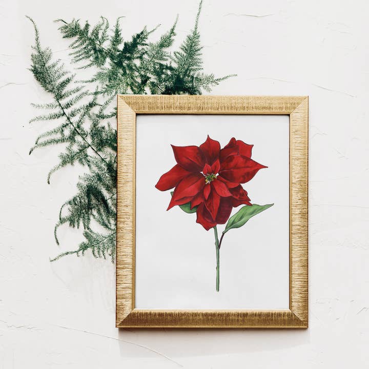 Tirage d'art fleur de poinsettia - NOUVEAUTÉ pour Holiday '22 pour la vente par JesMarried