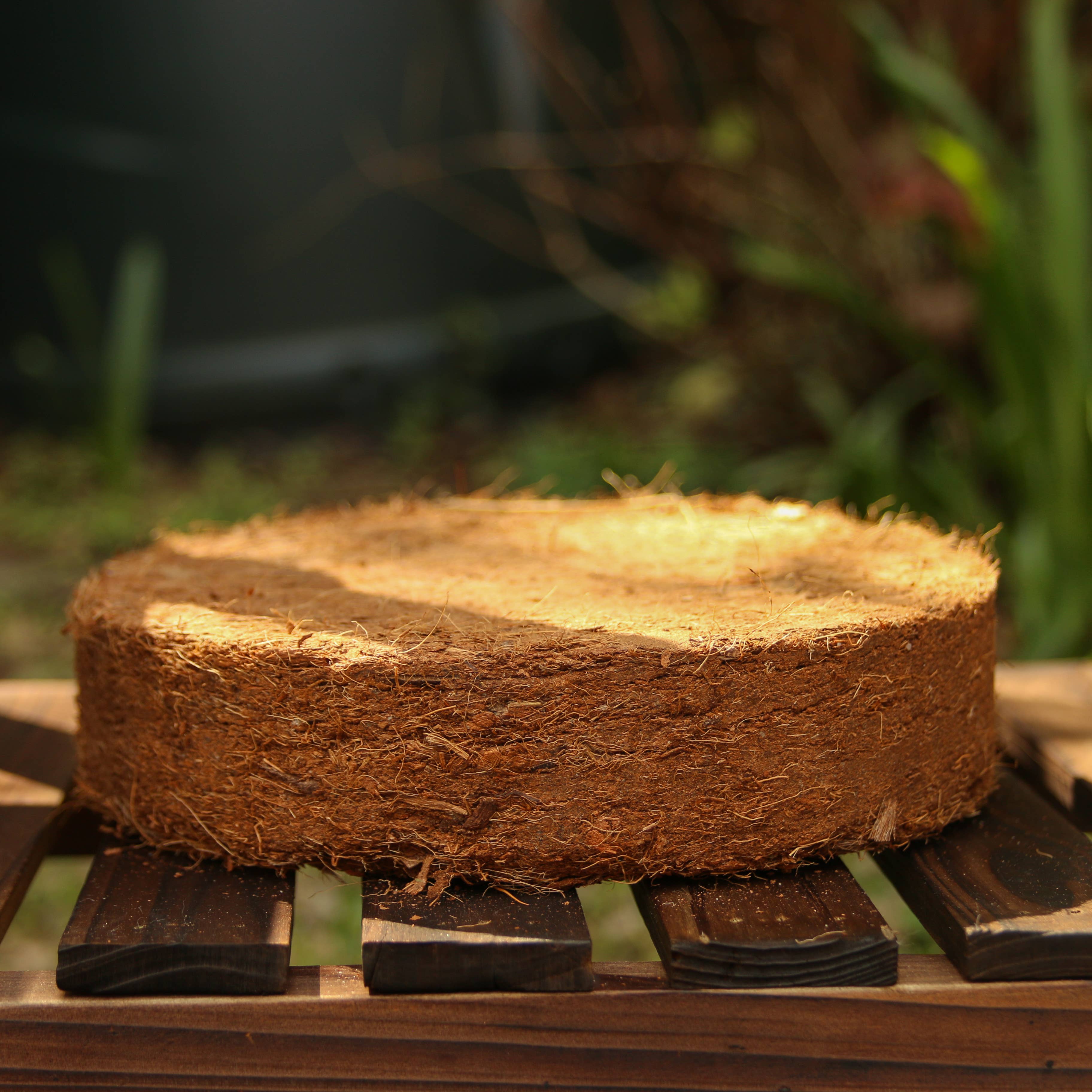 CoirProducts.co.uk of Salike Limited – wholesale Planting/potting soil – Coir discs 75-80mm CoirProducts CPUK8