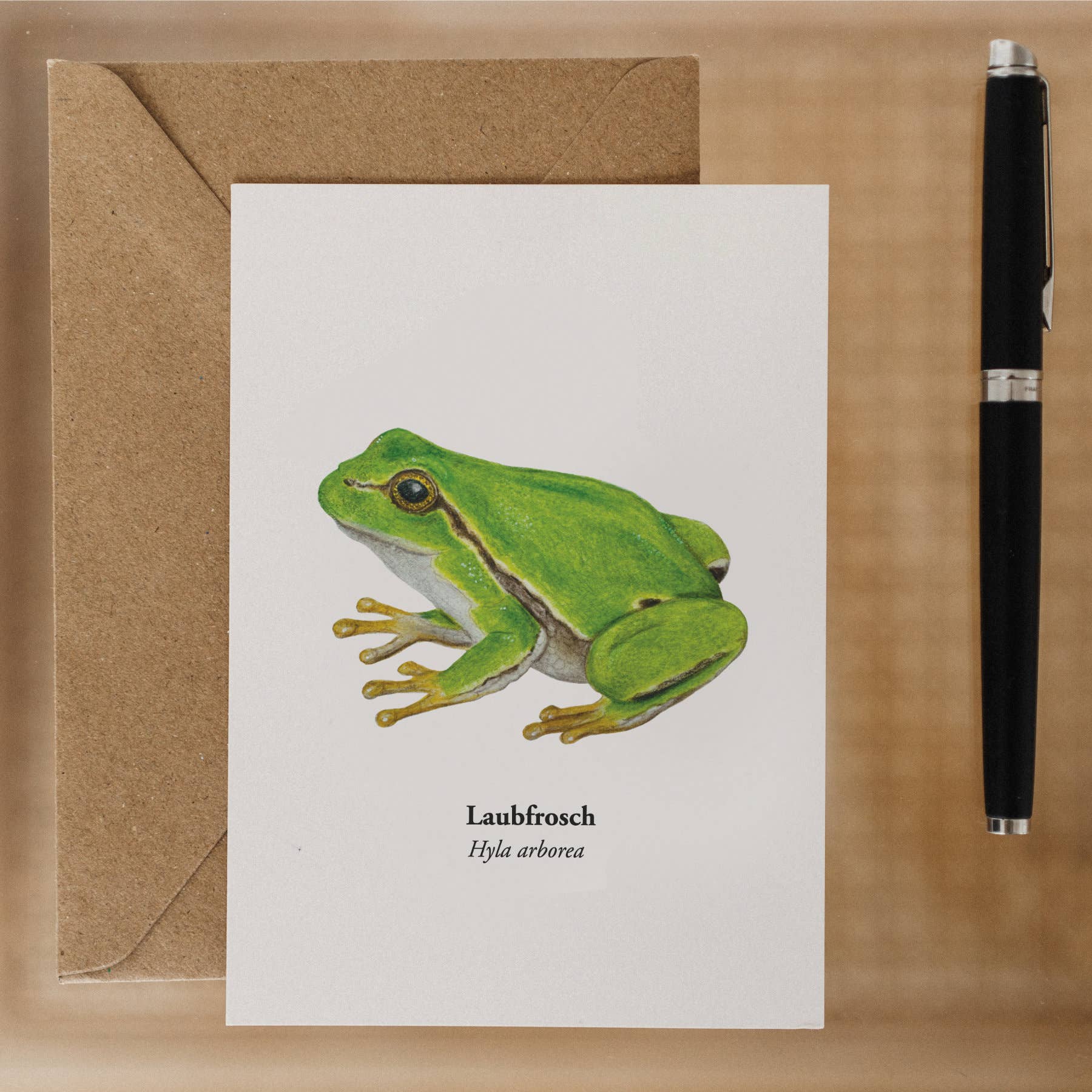 Terillu - Wholesale Postcard - Honeybee Postcard – Illustration of the Western Honeybee2