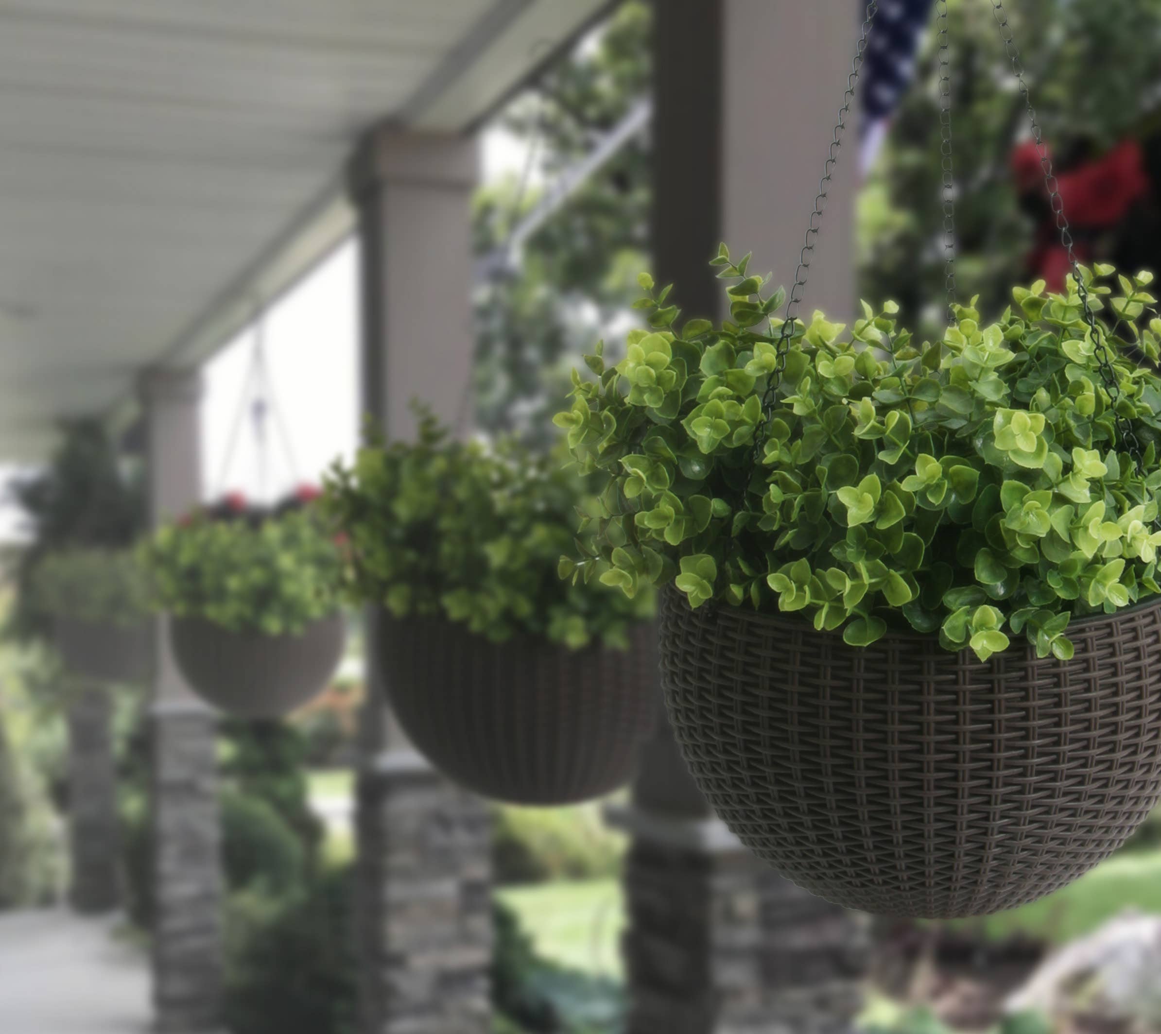 Algreen - Wholesale Hanging Planter - Modena Self-Watering Hanging Basket Planter18