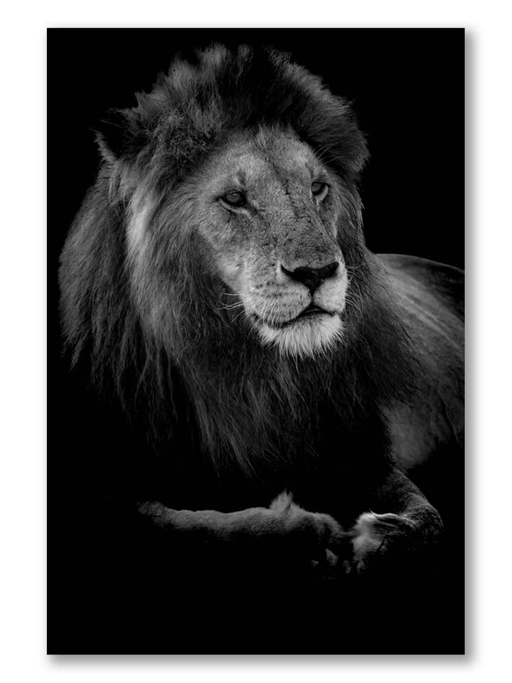 Portrait d'un roi, Décoration murale sur toile pour la vente par Artography Limited