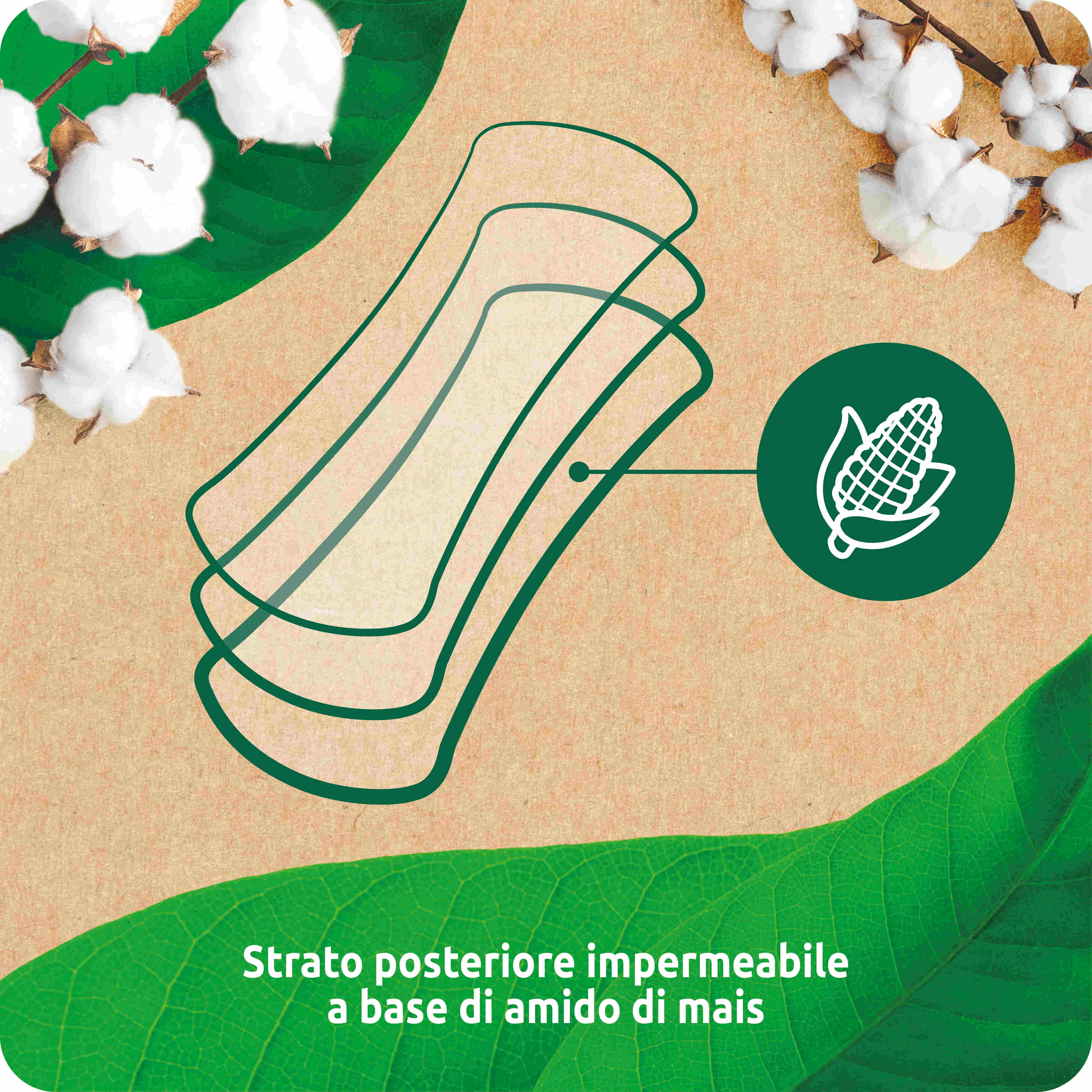 Babylino - Venta al por mayor Compresas y protegeslips - Babylino Everyday Natura Protectores Diarios Normales de Algodón Orgánico, 20 unidades3