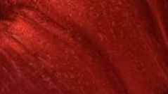 Arts Actually - Wholesale Dangle Earrings - Virginia: *Hypoallergenic* Wood and Resin Earrings9