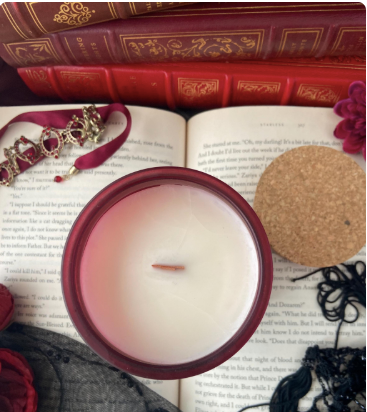 Sacred Lore – wholesale Prydnadsljus – Förmodligen läser snusk, litterärt ljus, 10oz sojaljus1