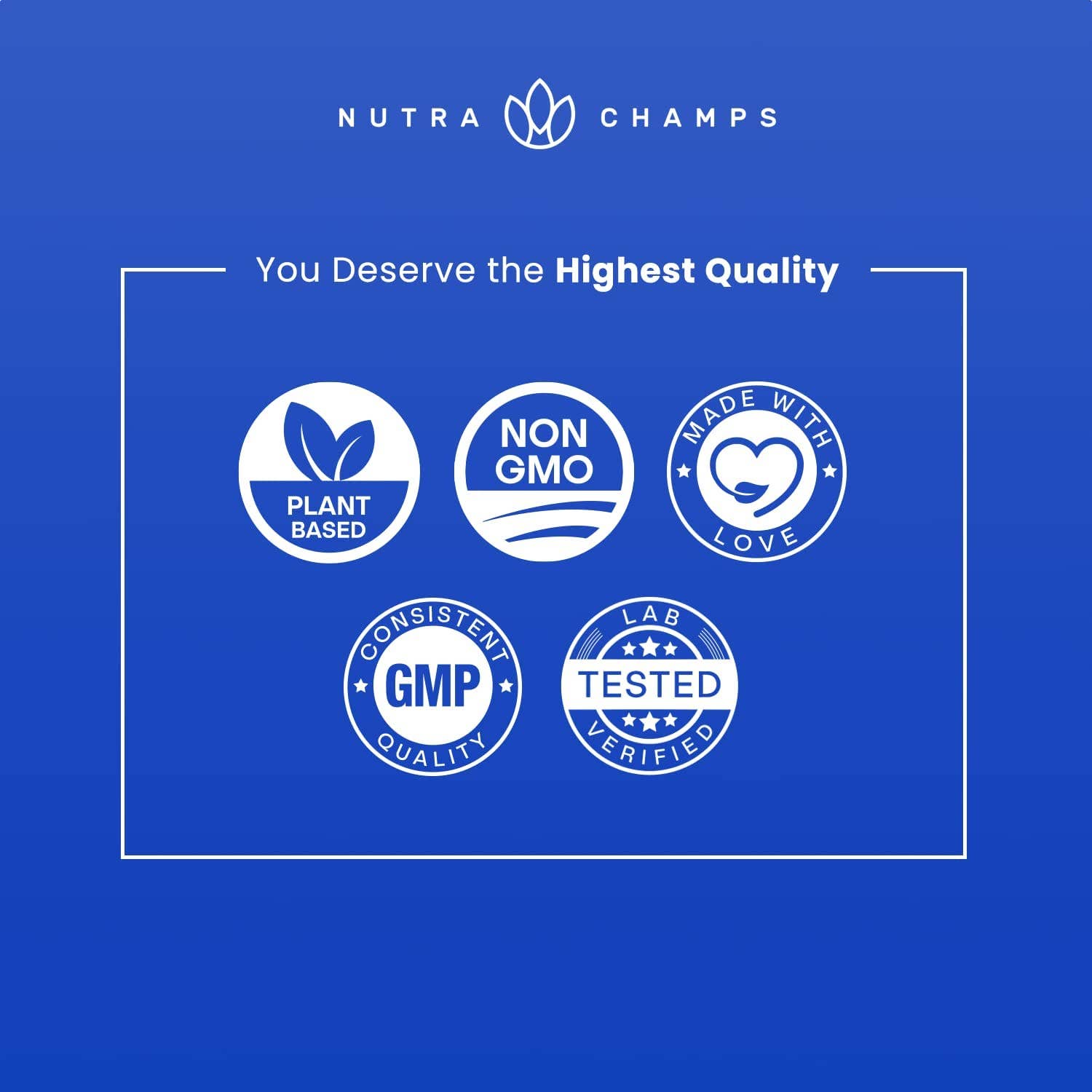 NutraChamps - Wholesale Oral Supplement/Vitamin - Men's Multivitamin Gummies4