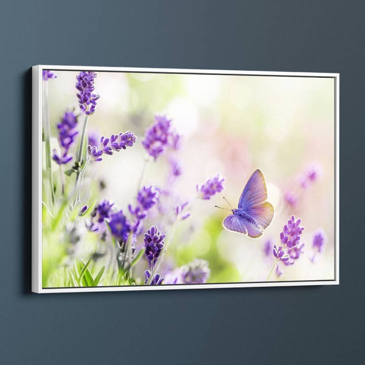 Sommerfugle Og Lavendel for engroshandel hos Meeko Print