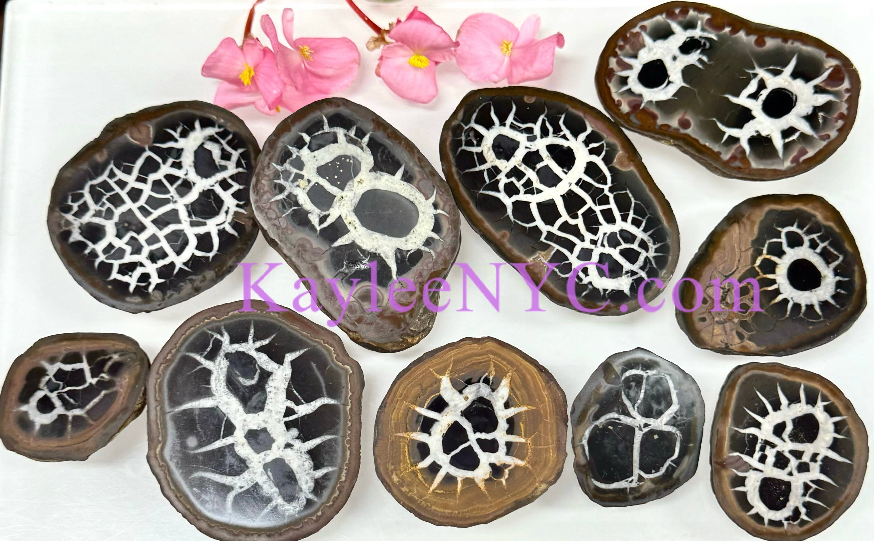 KayleeNYC - Wholesale Spiritual Stone/Crystal - 2 lbs Natural Septarian Nodule Slab Crystals Healing0