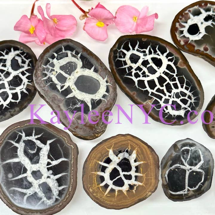 KayleeNYC - Wholesale Spiritual Stone/Crystal - 2 lbs Natural Septarian Nodule Slab Crystals Healing