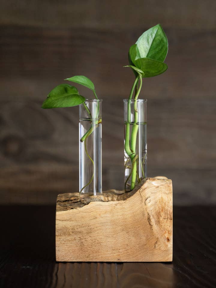 Live Edge Propagation Station for wholesale by Zator's Wood Working