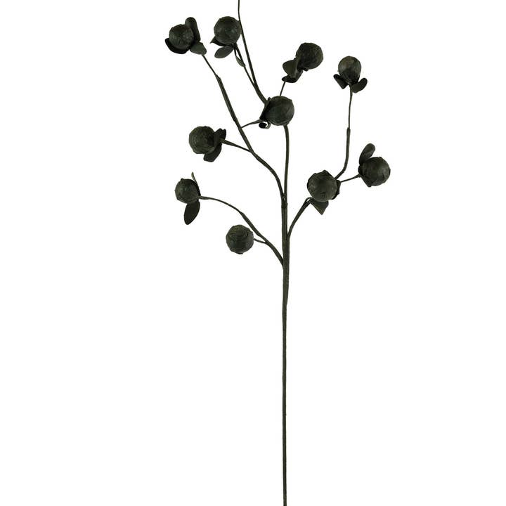 Black BOTANICA #2720 for wholesale on Faire2