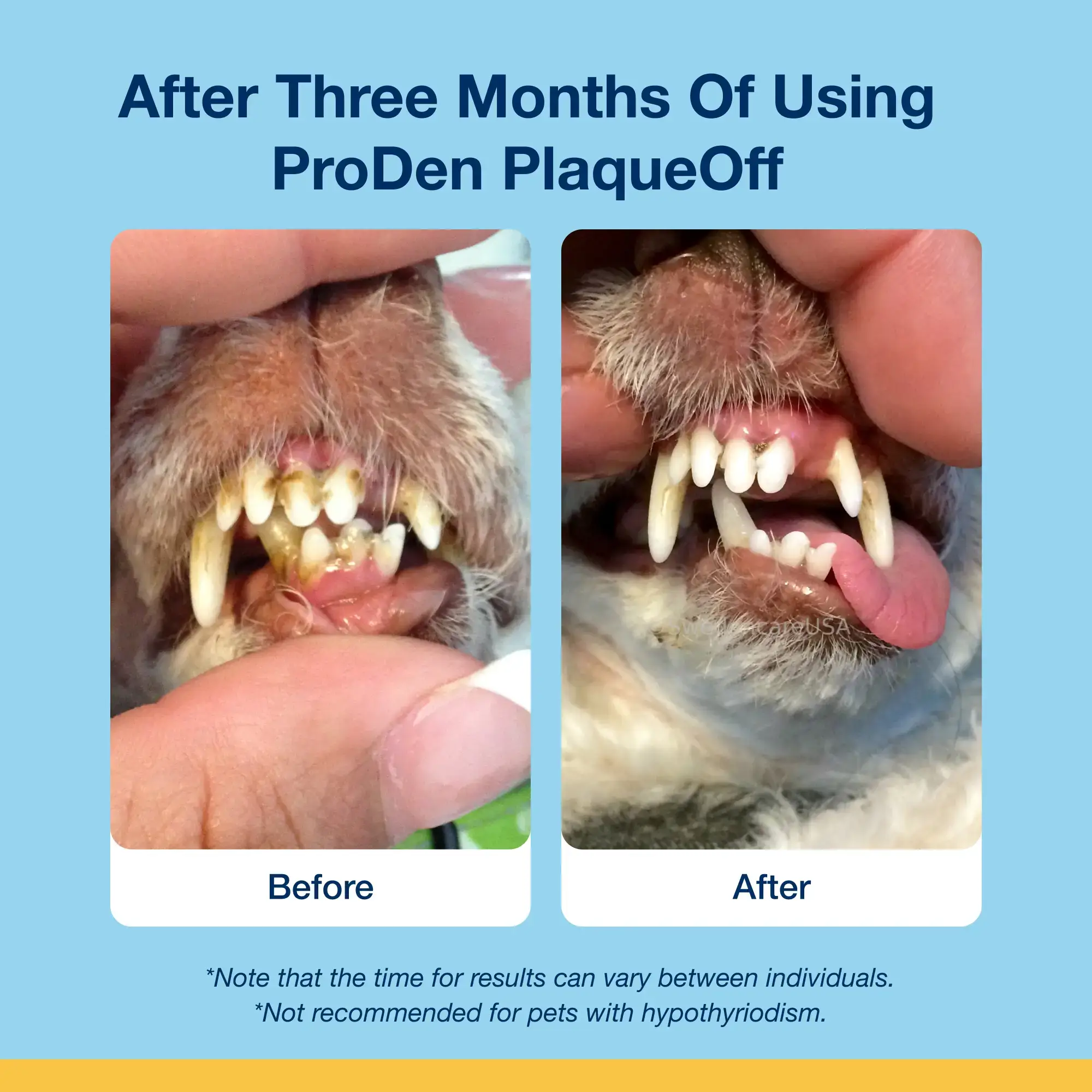ProDen PlaqueOff - Wholesale Pet Supplement - Dog - ProDen PlaqueOff System® Holistic Soft Bites - Hip & Joint6