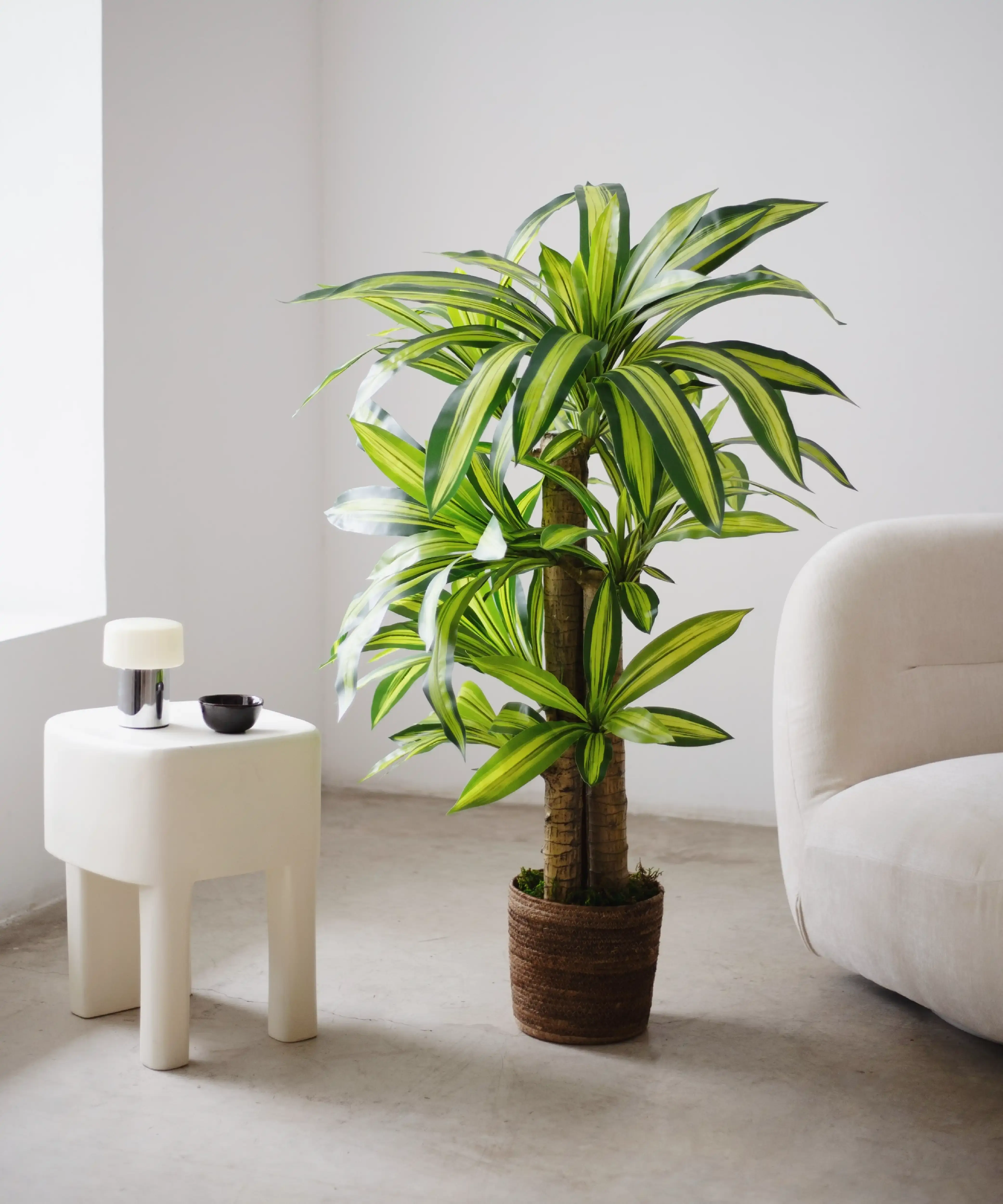 Maia Shop: No Duties for the US - Wholesale Artificial Plant - 5' Artificial Dracaena Tree 1