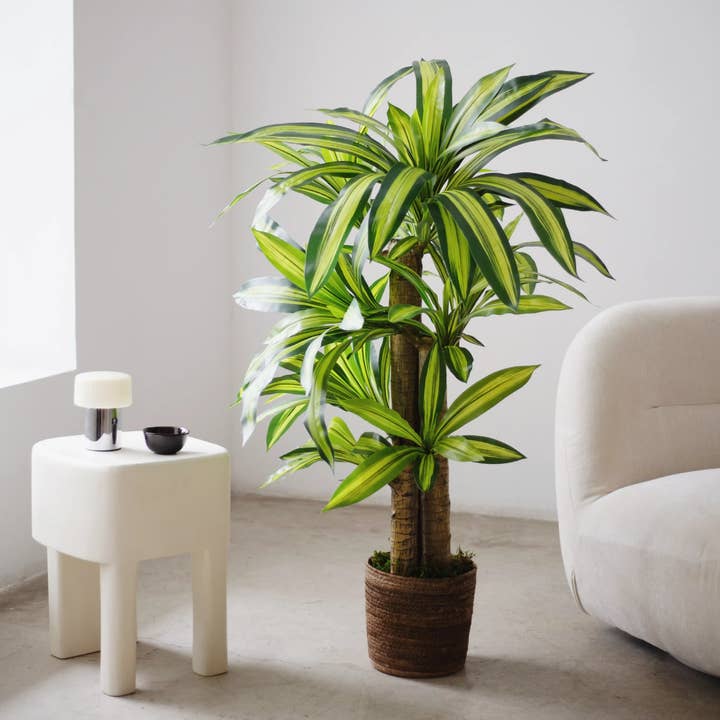 Maia Shop: No Duties for the US - Wholesale Artificial Plant - 5' Artificial Dracaena Tree 1