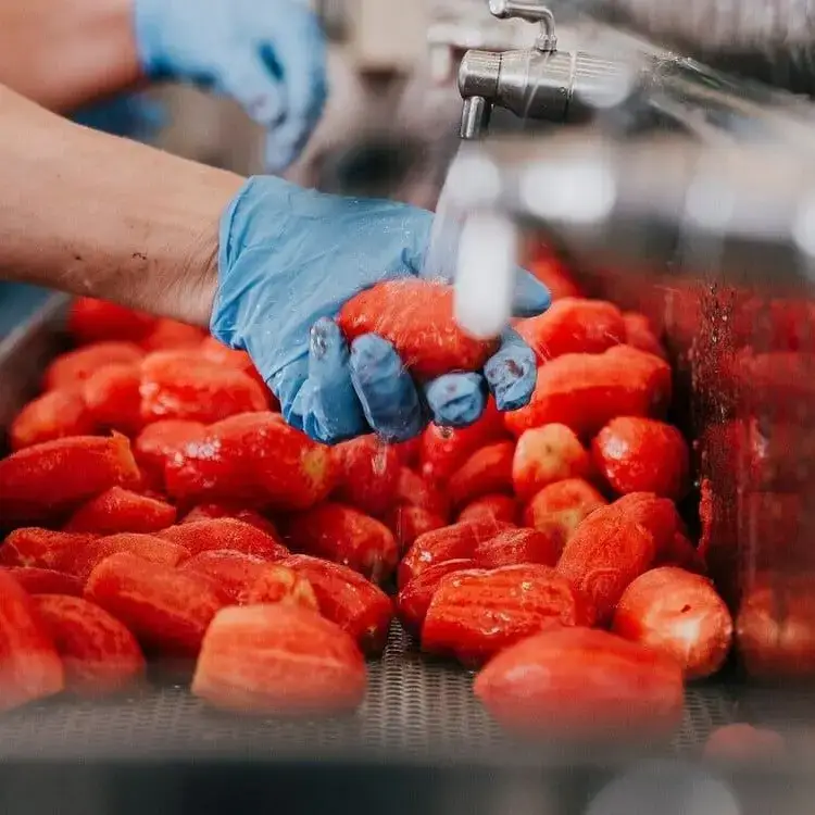 Bio Orto Società Cooperativa Agricola - Wholesale Sauce - Organic peeled tomatoes - 1kg0