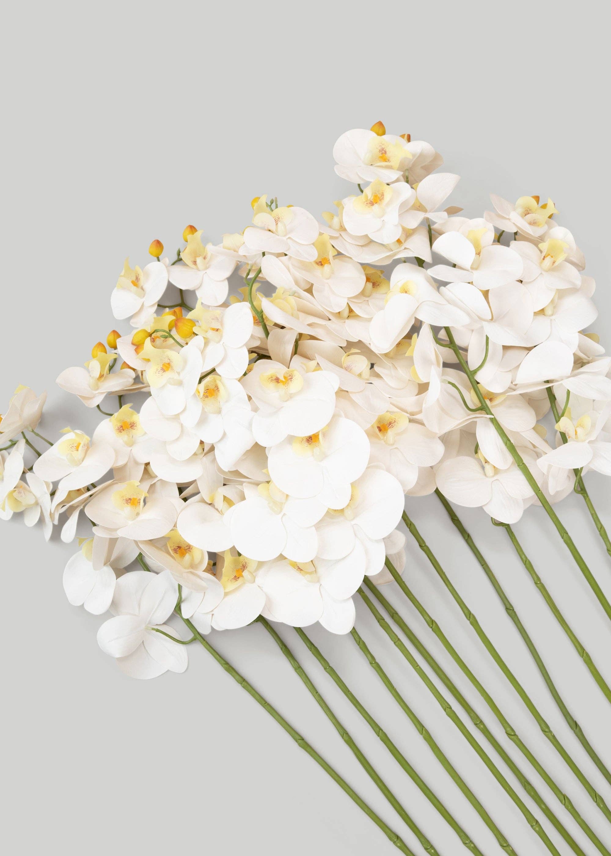 Afloral - Wholesale Artificial Flowers - Case of 48 Stems - Faux Real Touch Orchids in White - 36"4