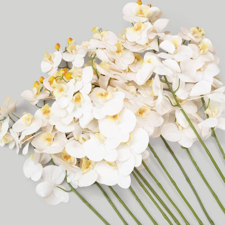 Afloral - Wholesale Artificial Flowers - Case of 48 Stems - Faux Real Touch Orchids in White - 36"4