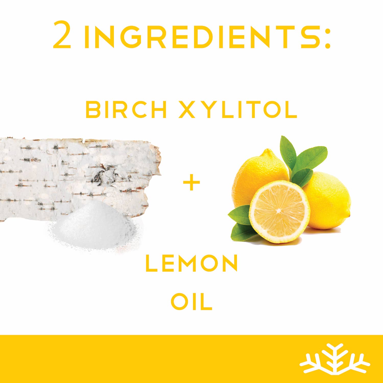 SNØ - Wholesale Hard Candy - Lemon Sugar Free Candy - Keto & Vegan | 6 Tins4