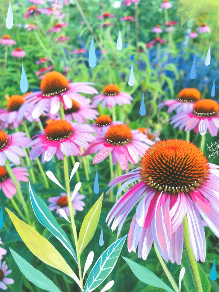 Cone Flowers Print for wholesale by Katie Daisy