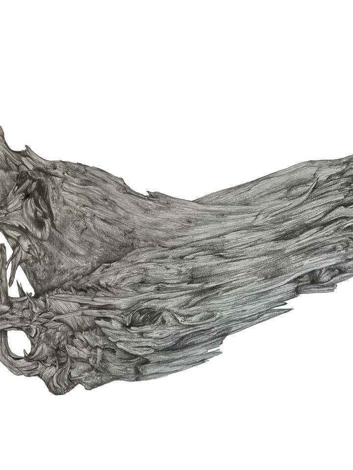 Gefundener Zweig (Giclée-Druck) für den Großhandel von HoneyHedge Craft LLC