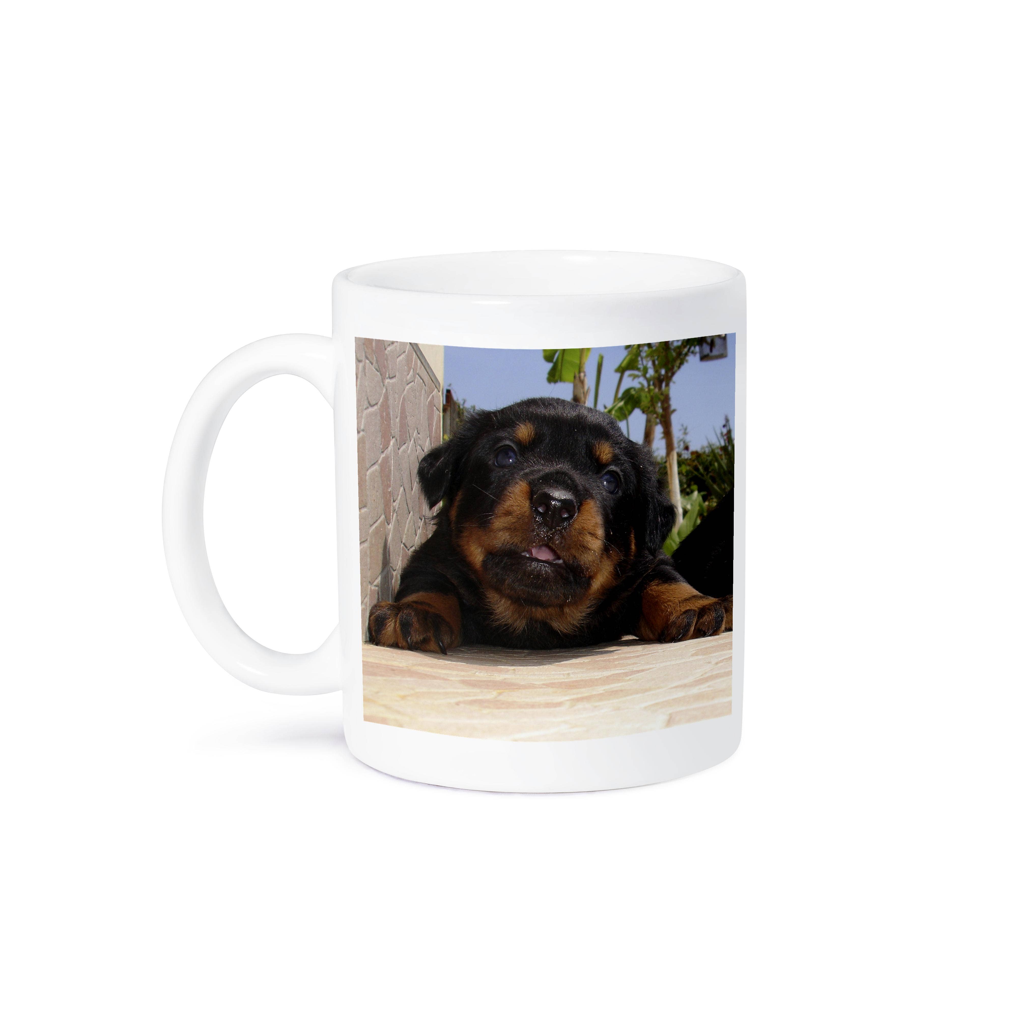 3dRose - Wholesale Coffee Mug - 3dRose, Paws For Thought - rottweiler, rottweilers, rottie, rotties, rottie owner, rottweiler puppy, Mug8