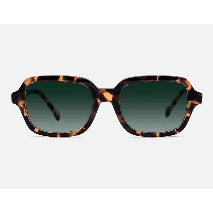 Cudillero Havana Solbriller - Gradient Grøn for engroshandel hos KYPERS EYEWEAR