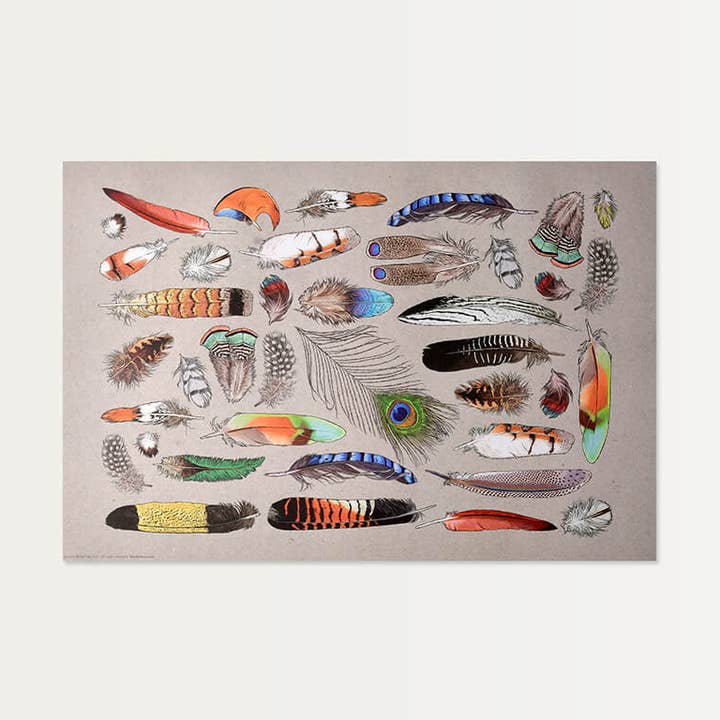 Manteles individuales de papel Plumes Collection (juego de 20) para venta al por mayor de Brook Isle