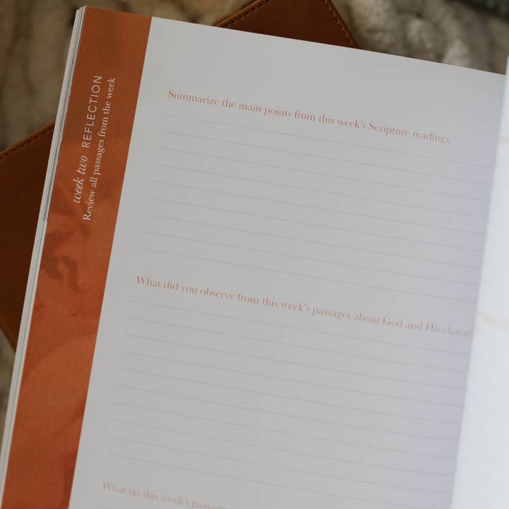 The Daily Grace Co - Wholesale Religion - The Attributes of God Bible Study5