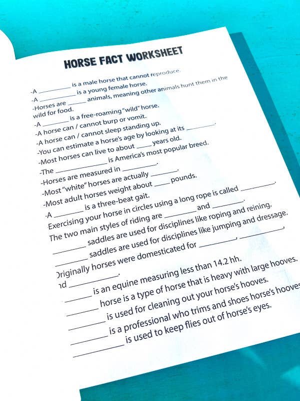 Circus Unicorn Shop - Wholesale Education Book - The Riding Student's Horse Workbook7