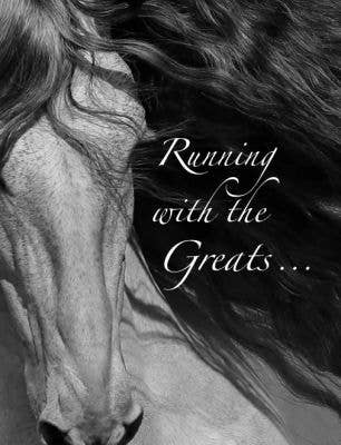 Horse Hollow Press - Wholesale Sympathy Card - Horse Sympathy Greeting Card / Running with the Greats... 6