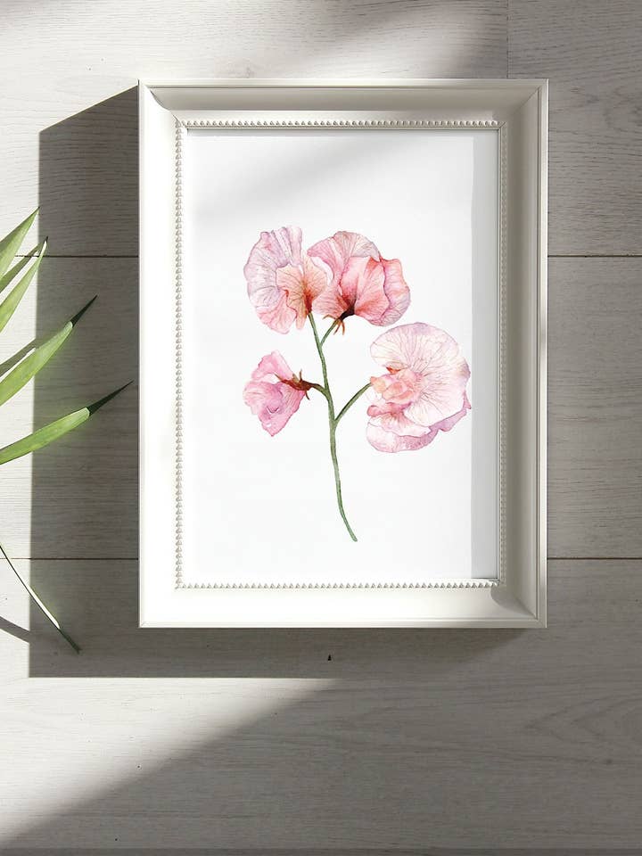 Sweet pea watercolor art print for wholesale by StudioReta