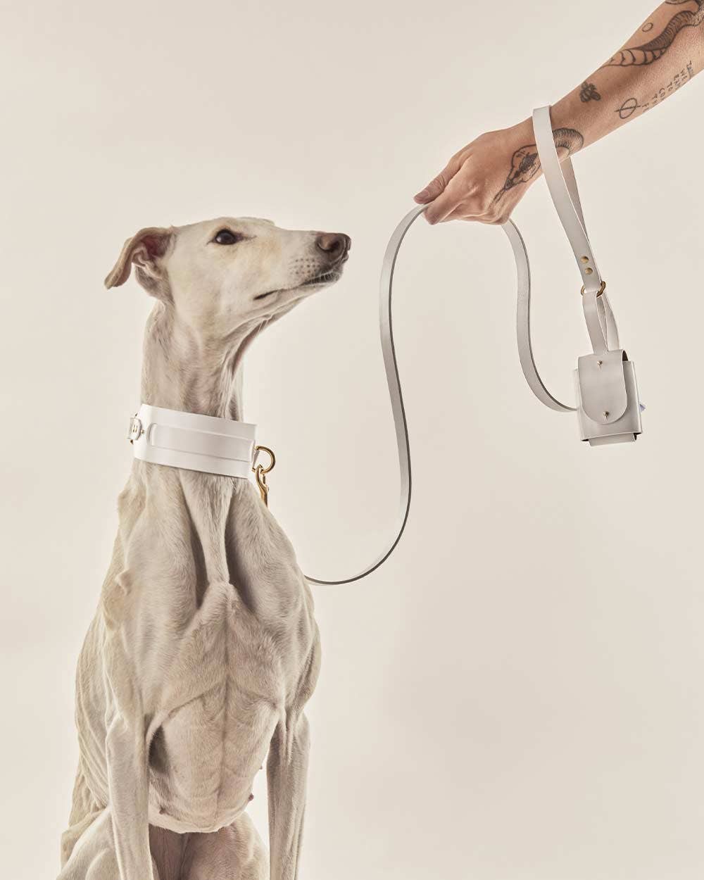 INDÓMITO – trela - Cão por atacado – Coleira branca para cachorro de 1,20 m