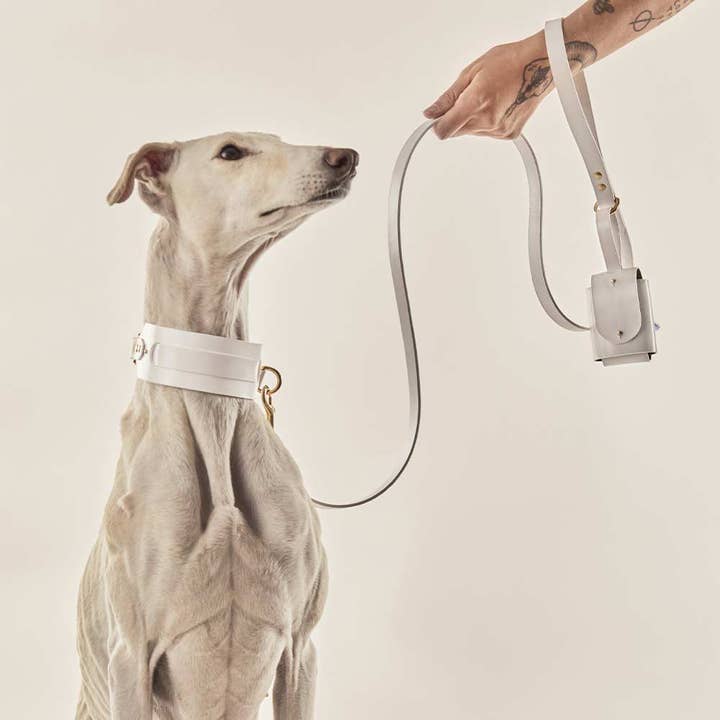 INDÓMITO - Wholesale Pet Leash - Dog - Dog leash · White