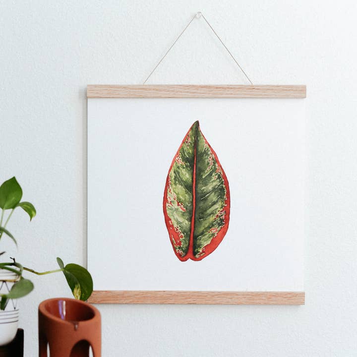 Chinese Evergreen Houseplant Art Print for wholesale by Come Alive Studio
