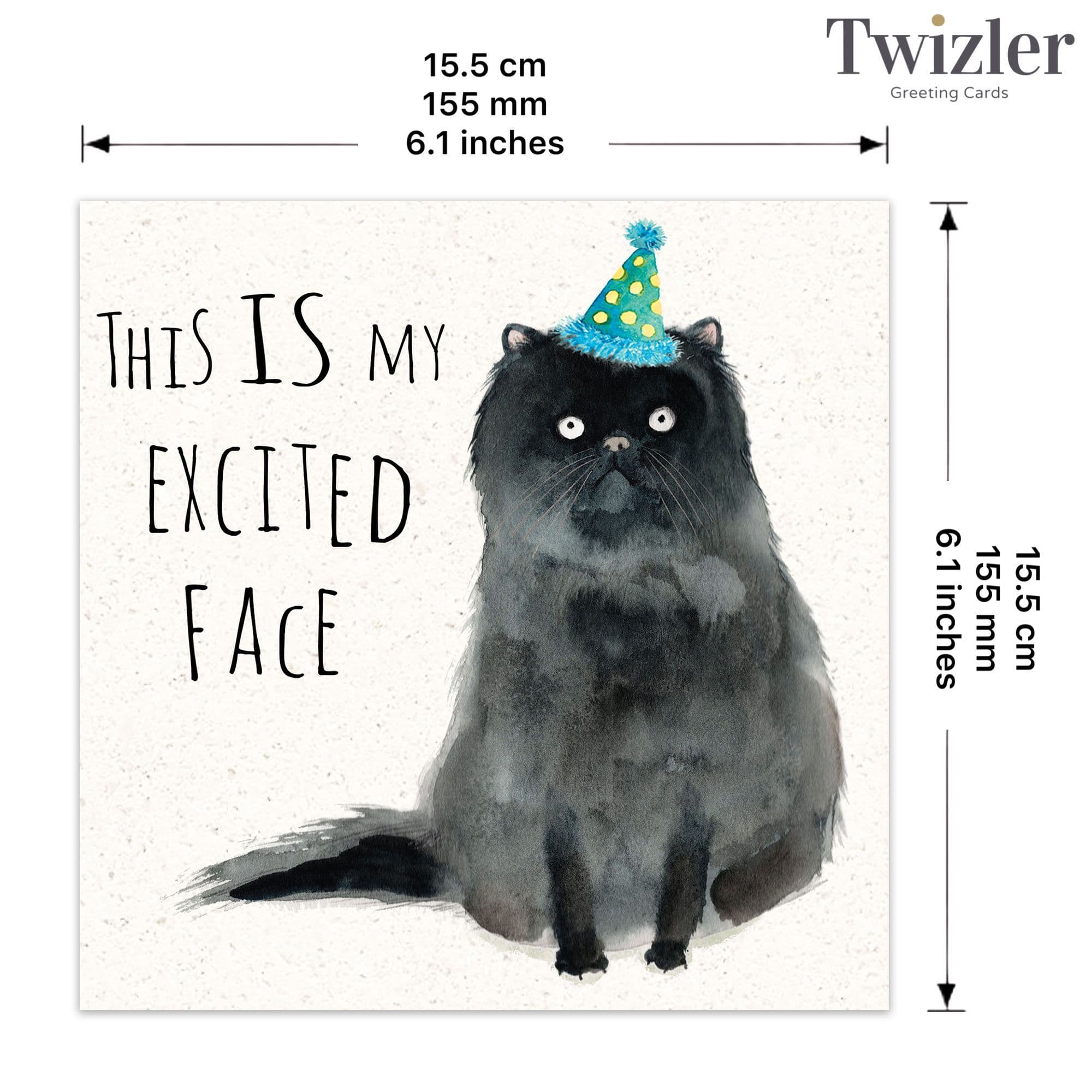 Twizler Ltd - Vente Carte de vœux classique - Excited Face - Carte drôle de chat2