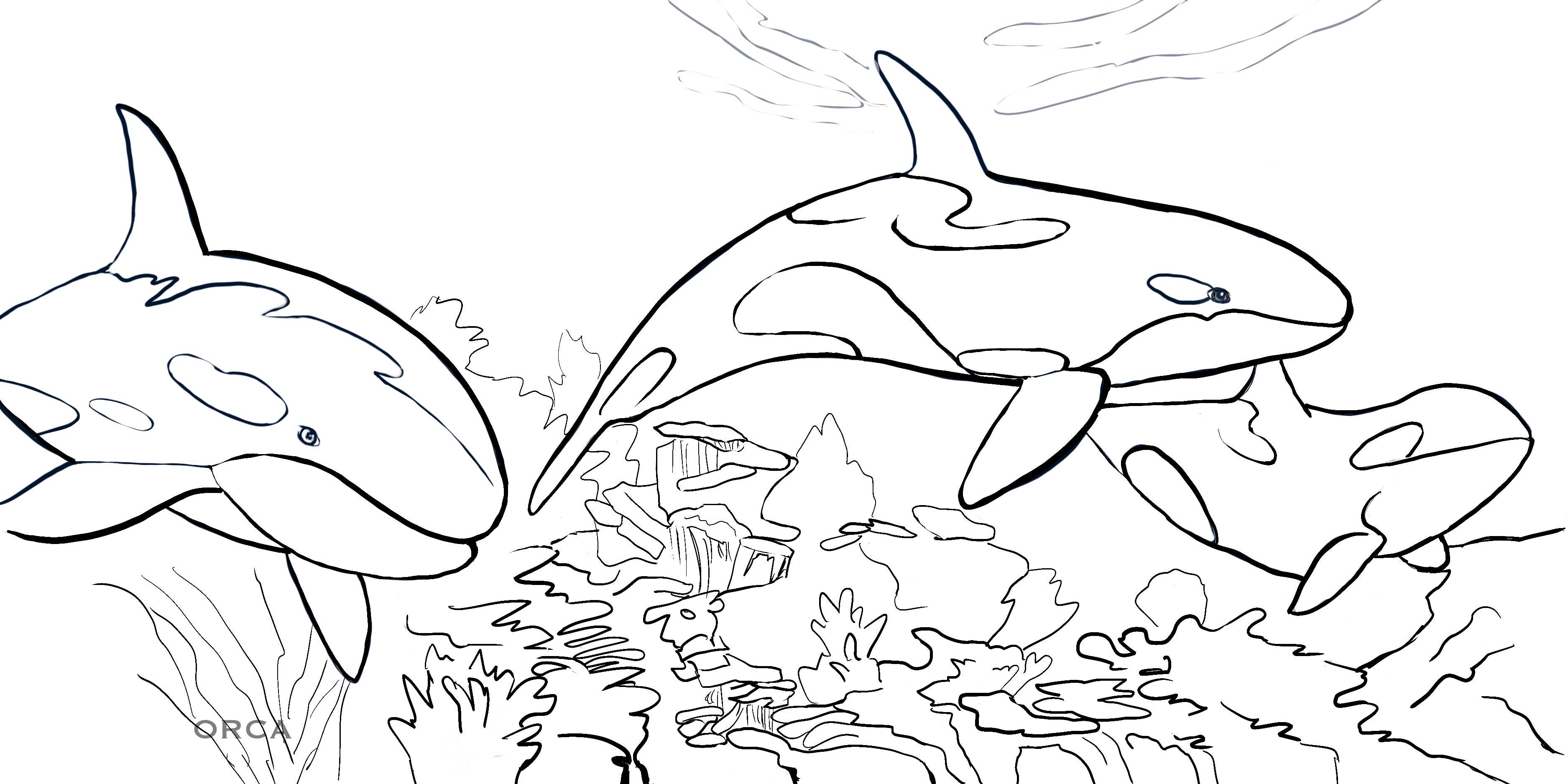 Love Kathleen Productions – Engroshandel Malebog - Børn og baby – Coloring Passport Dolphin Edition 1 Alder 5-1259