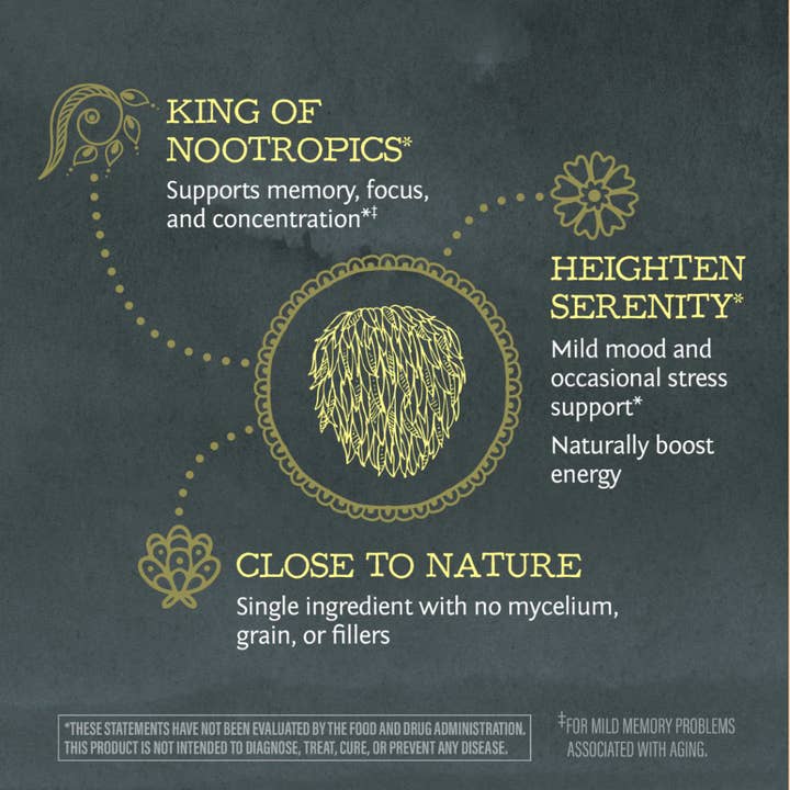 Sunwarrior - Wholesale Powdered Health Drink - Be Well Organic Lion's Mane Mushroom Powder Drink Mix