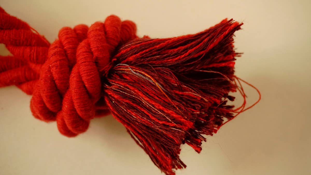 hundsfutter - Wholesale Pet Chew Toy - Dog - Olive wood teether with cotton cord3