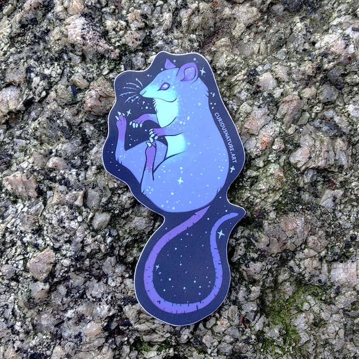 Curious Nature Studio - Wholesale Sticker - Twinkle Rat • Vinyl Sticker1