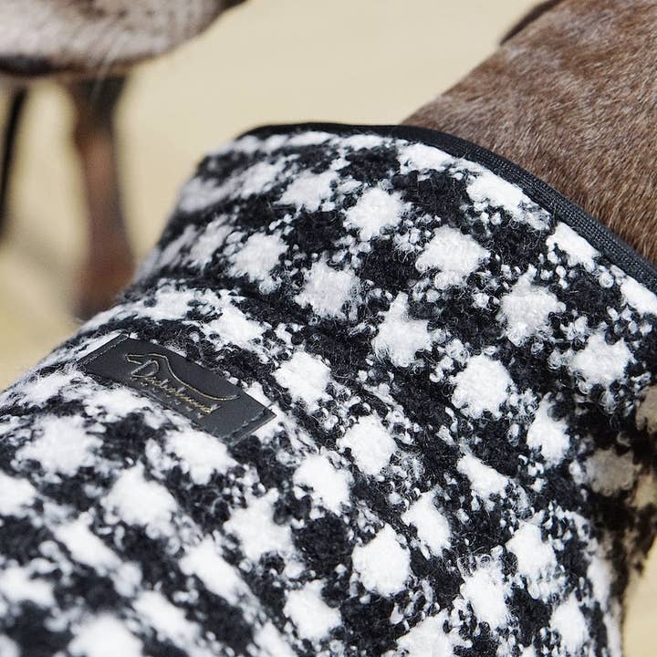 Dachshund Couture - Venta al por mayor Abrigo - Perros - Abrigo para perro salchicha Emily en París en diseño clásico pata de gallo blanco y negro4