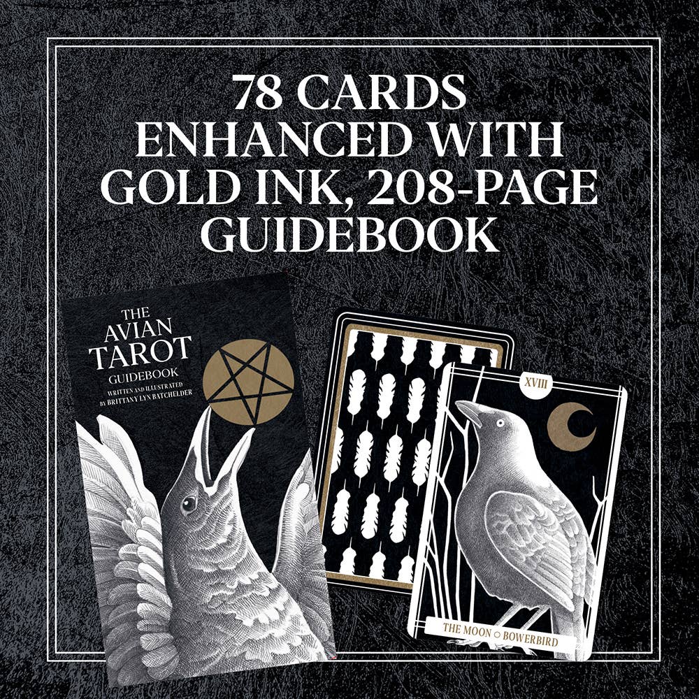 Chronicle Books - Wholesale Tarot Cards - Avian Tarot3