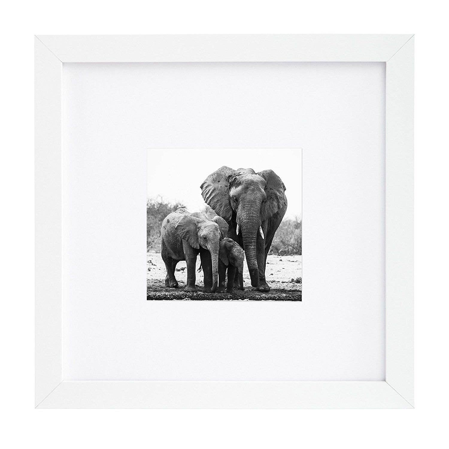 Americanflat - Wholesale Picture Frame - Americanflat Picture Frame with Mat Standard Molding185