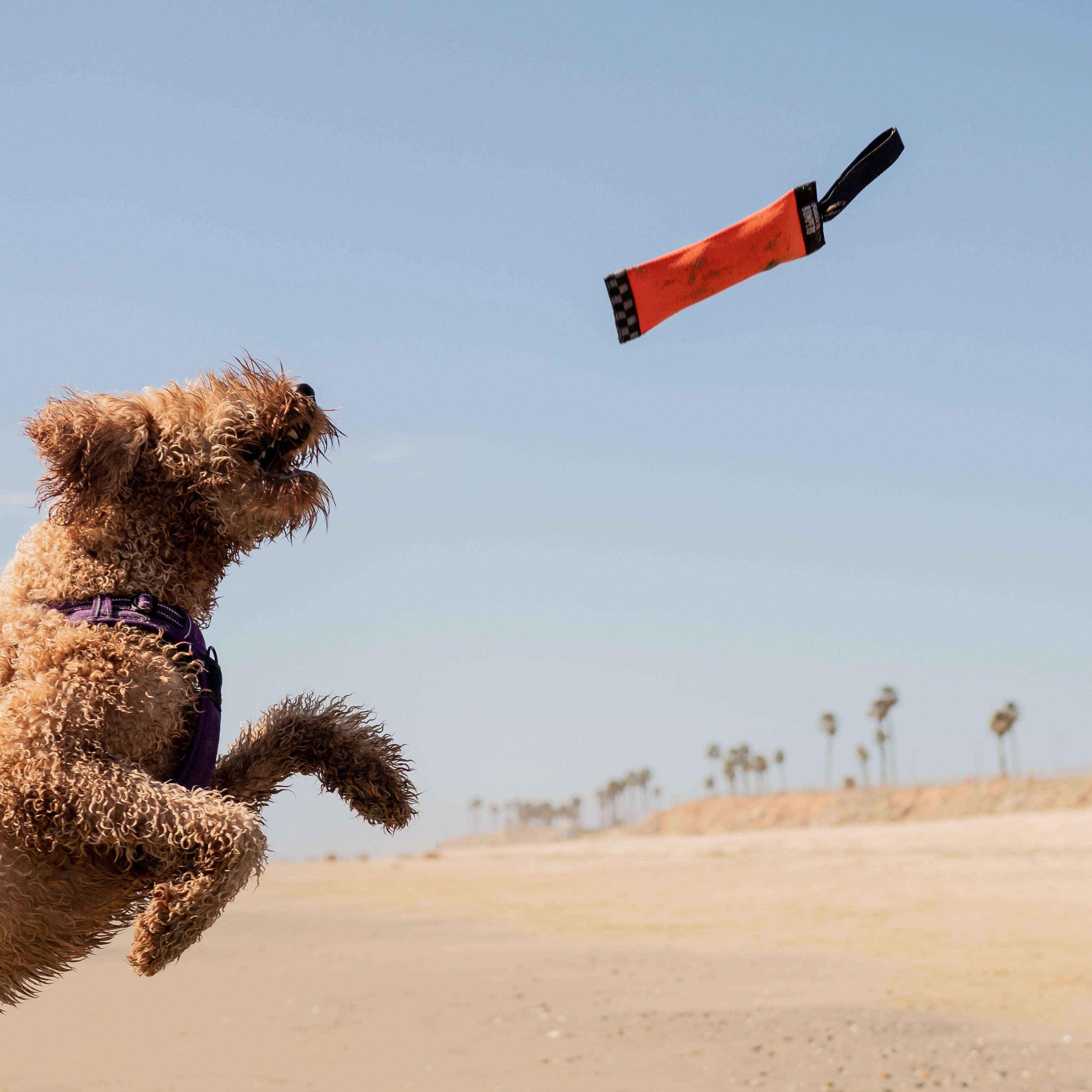 Katie's Bumpers – Engroshandel Pibelegetøj - Hund – Bedste hentlegetøj KB Sqwuggie5